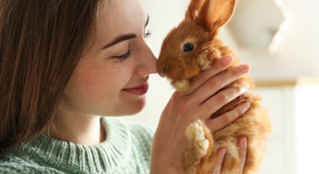 Tudo para a saúde e diversão dos seus coelhos e roedores